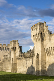France, Vaucluse, Avignon, the ramparts on the banks of the Rhone river
