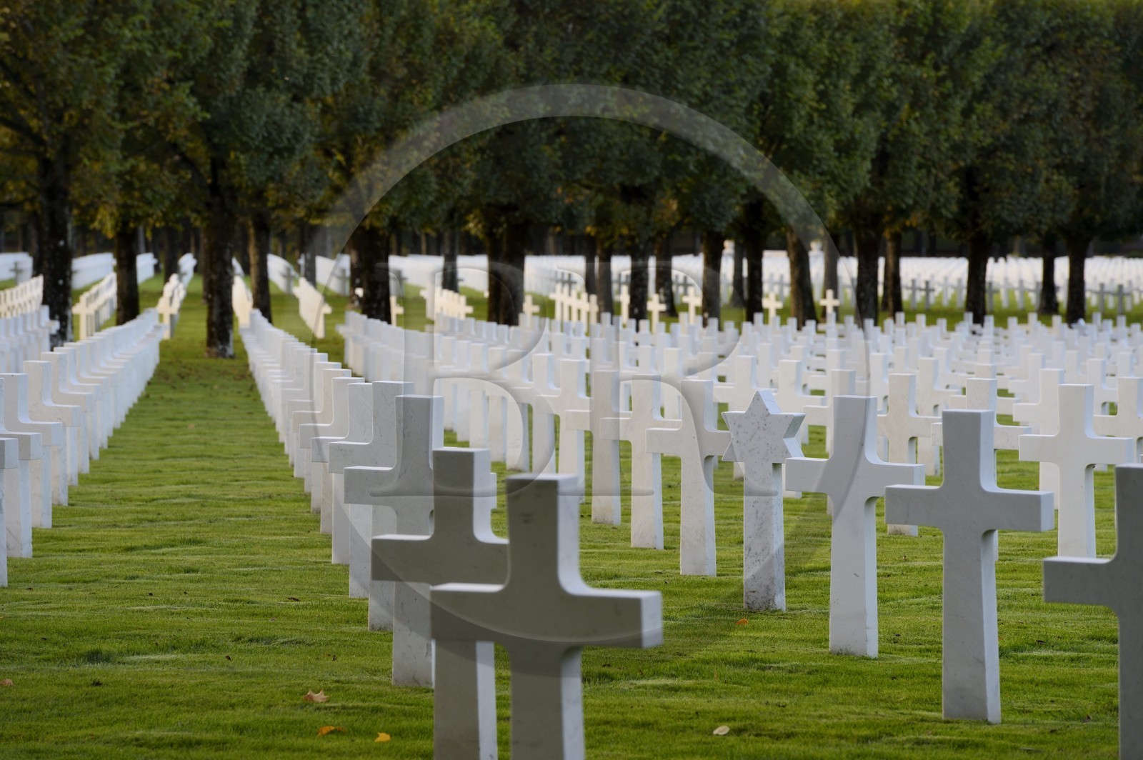 France, Meuse (55), le cimetière américain de Romagne-sous-Montfaucon, 14 246 américains ayant combattu lors de la Première Guerre mondiale y sont enterrés, tombe juive au milieu de tombes chrétiennes