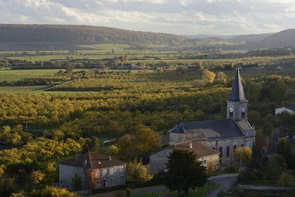 France, Meuse (55), Parc régional de Lorraine, Cotes de Meuse, l'église de Buxières-sous-les-Côtes et mirabellier dans la plaine de la Woëvre