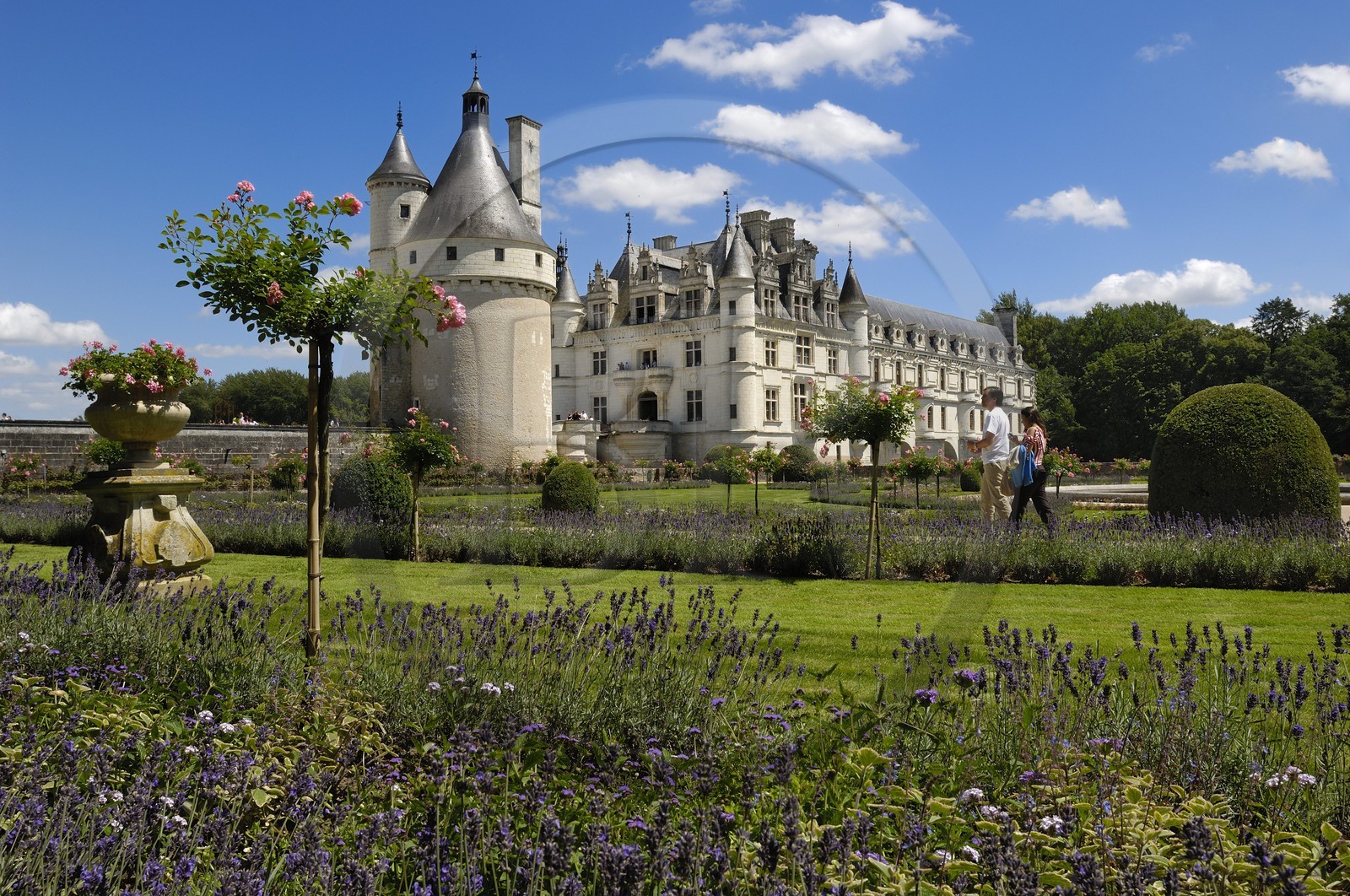 France, Indre-et-Loire (37), château de Chenonceau édifié de 1513 à 1521 de style Renaissance, Jardin de Catherine de Médicis, Jardin de Catherine de Médicis
