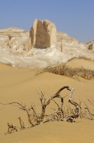 Egypte, désert libyque, le Désert Blanc au nord de Farafra