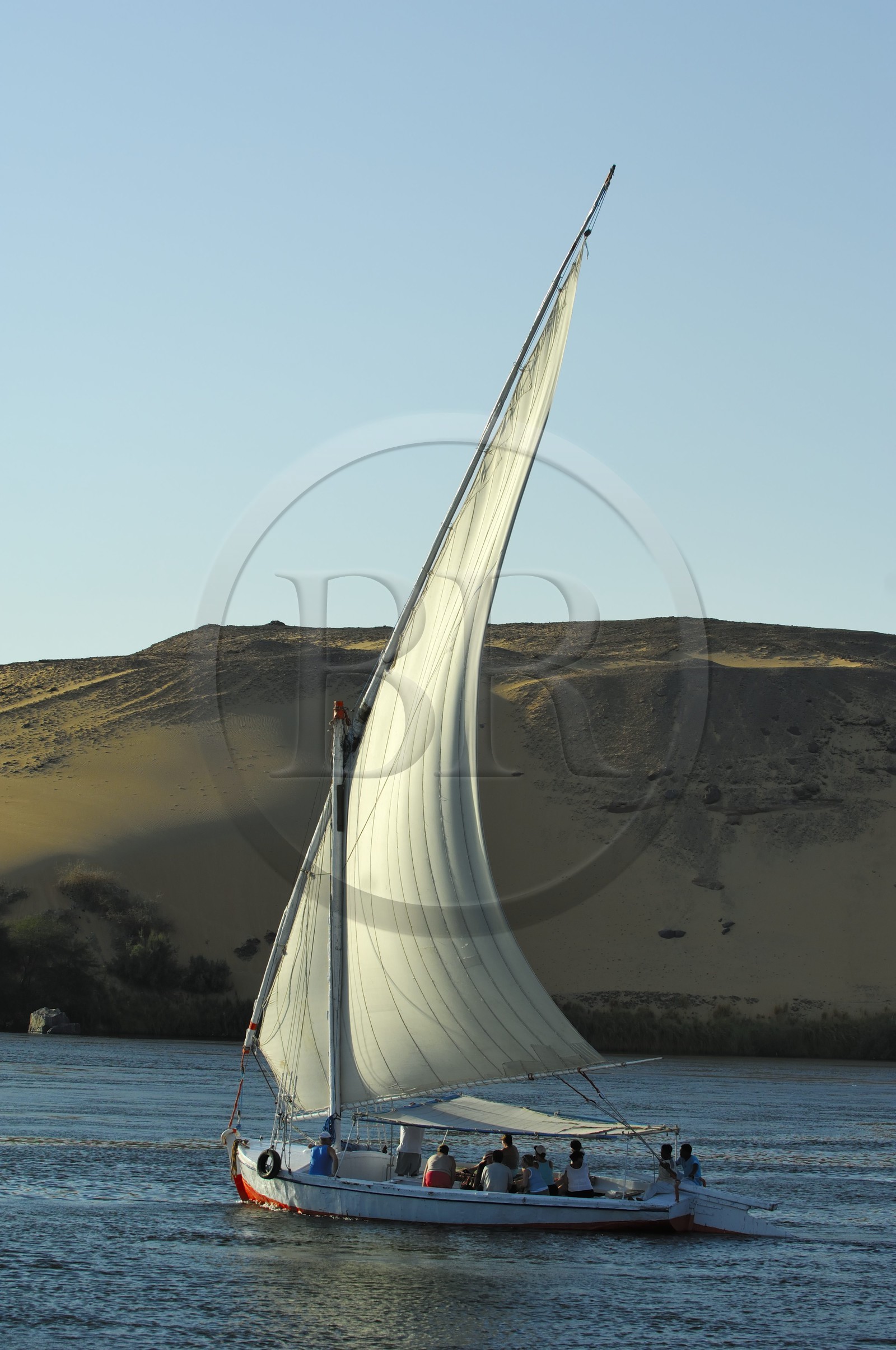 Egypte, Haute Egypte, vallée du Nil, Assouan, felouques sur le Nil et dunes de la rive ouest