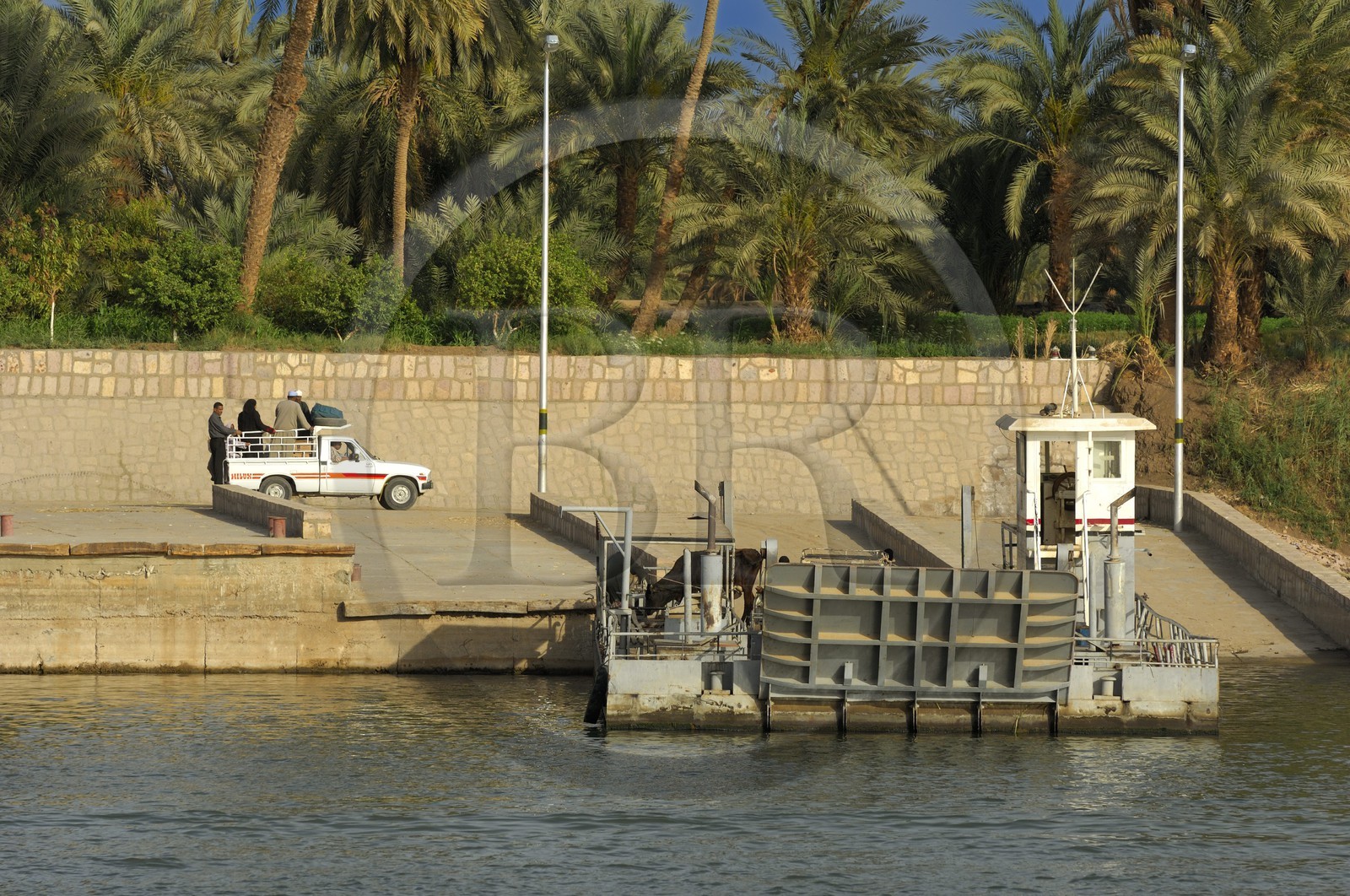 Egypte, Haute Egypte, vallée du Nil, traversier sur le Nil entre Edfou et Kom Ombo