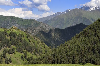 Georgia, Kakheti, Tusheti National Park, ruins of the old fortified towers of the former fortress of Diklo at the Dagestan (Russia) border in the background