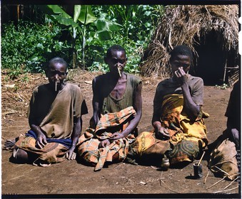 Burundi, province de Muyinga, Twa ou Batwa (pygmées) entrain de priser du tabac liquide, la prise est très typique du Burundi, le tabac liquide est versé dans la main et aspiré dans les deux narines, afin qu'il ne s'écoule pas, une pince rudimentaire est mise au bout du nez et quand l'effet s'est bien fait sentir, il reste à éliminer le produit, cet effet inélégant et l'introduction des cigarettes font que la prise est en régression rapide, en arrière plan on peut voir leur habitat très pauvre comme ici des cases en paille (reproduction plan-film inversible 4x5)