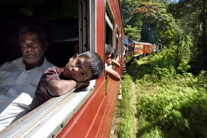 Sri Lanka, Province d'Uva, trajet en train dans la région montagneuse de la culture du thé entre Badulla et Ella