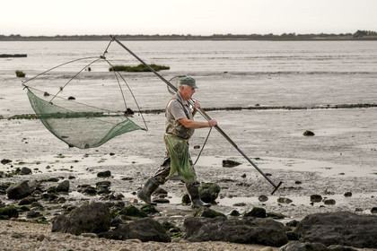 France, Charente Maritime, Port-des-Barques, hand net fisherman