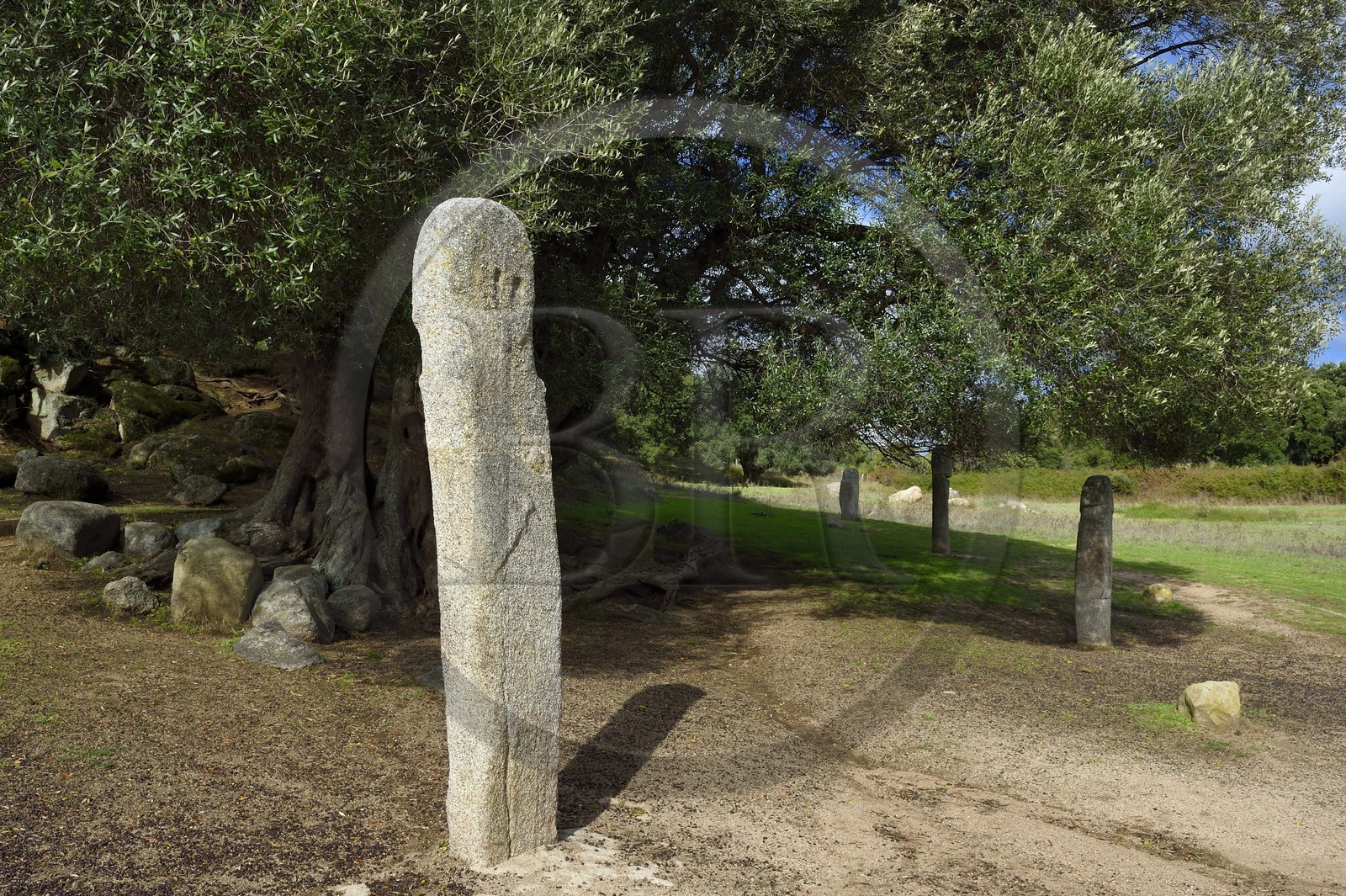 France, Corse-du-Sud (2A), site préhistorique de Filitosa, statue menhir représentant des personnages armés