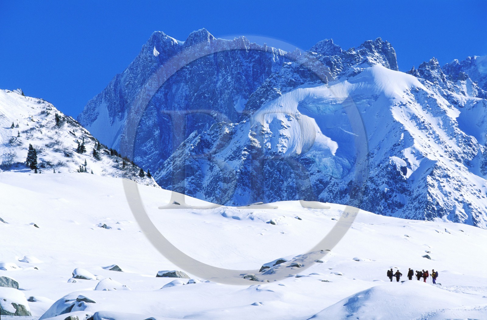France, Haute Savoie, Chamonix valley, skier on the Mer de glace (Sea of ice) underneath the Aiguille verte in the Vallee Blanche, Mont Blanc
