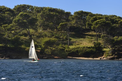 France, Var (83), Ile des Embiez, apprentissage de la voile sur la pointe du Canoubié