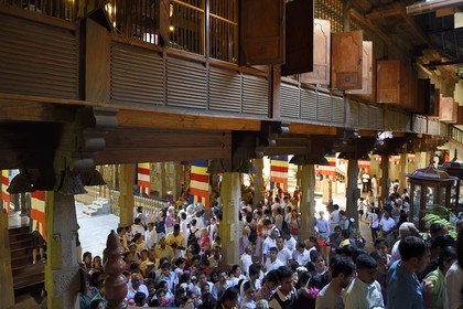 Sri Lanka, province du centre, Kandy, ville sacrée classée patrimoine mondial de l'UNESCO, Temple de la Dent de Bouddha (Sri Dalada Maligawa), la foule des pélerins vient appercevoir le dogoba qui contient la relique de la dent