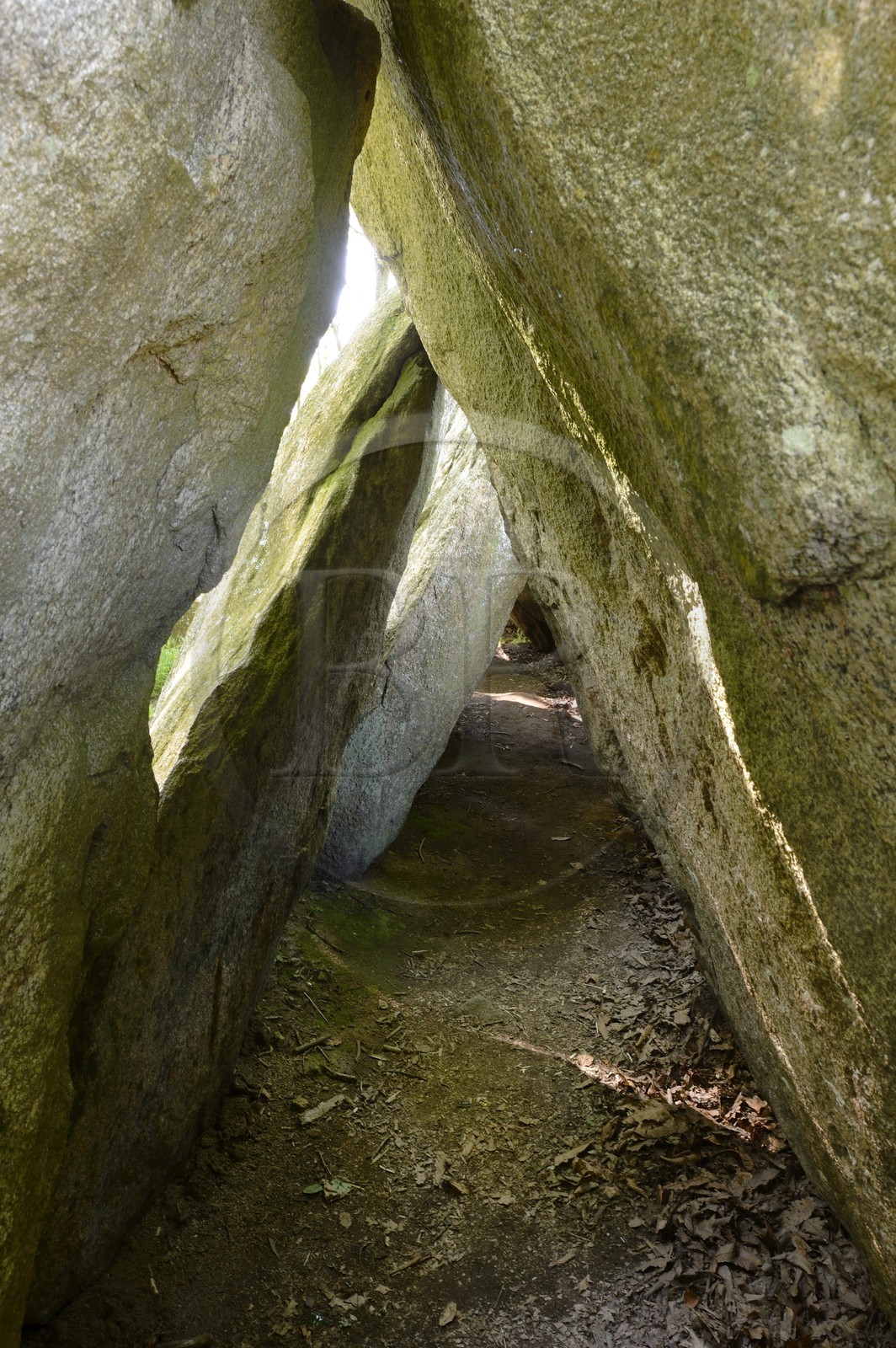 France, Finistère (29), Poullan-sur-Mer, allée couverte de Lesconil