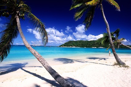 Caraïbes, Saint-Vincent et les Grenadines, archipel des Tobago Cays, plage d'une petite île inhabitée