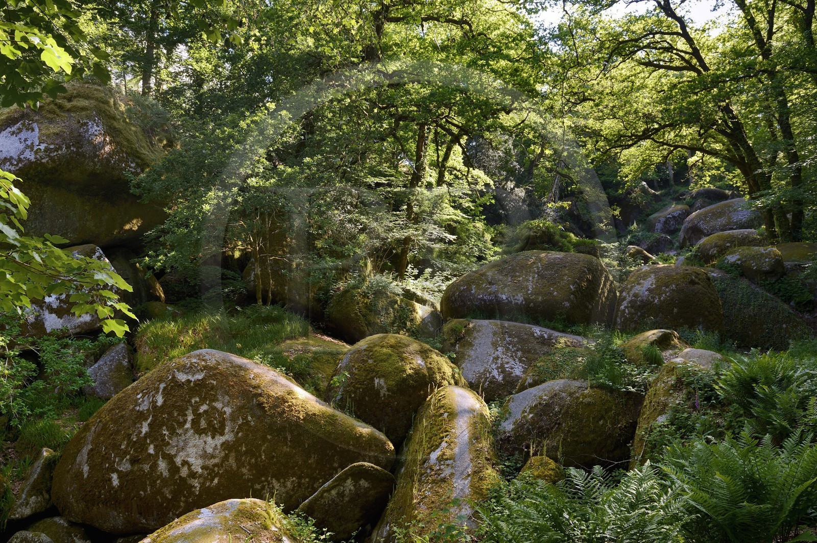 France, Finistère (29), parc naturel régional d'Armorique, Huelgoat, chaos granitique de la forêt du Huelgoat