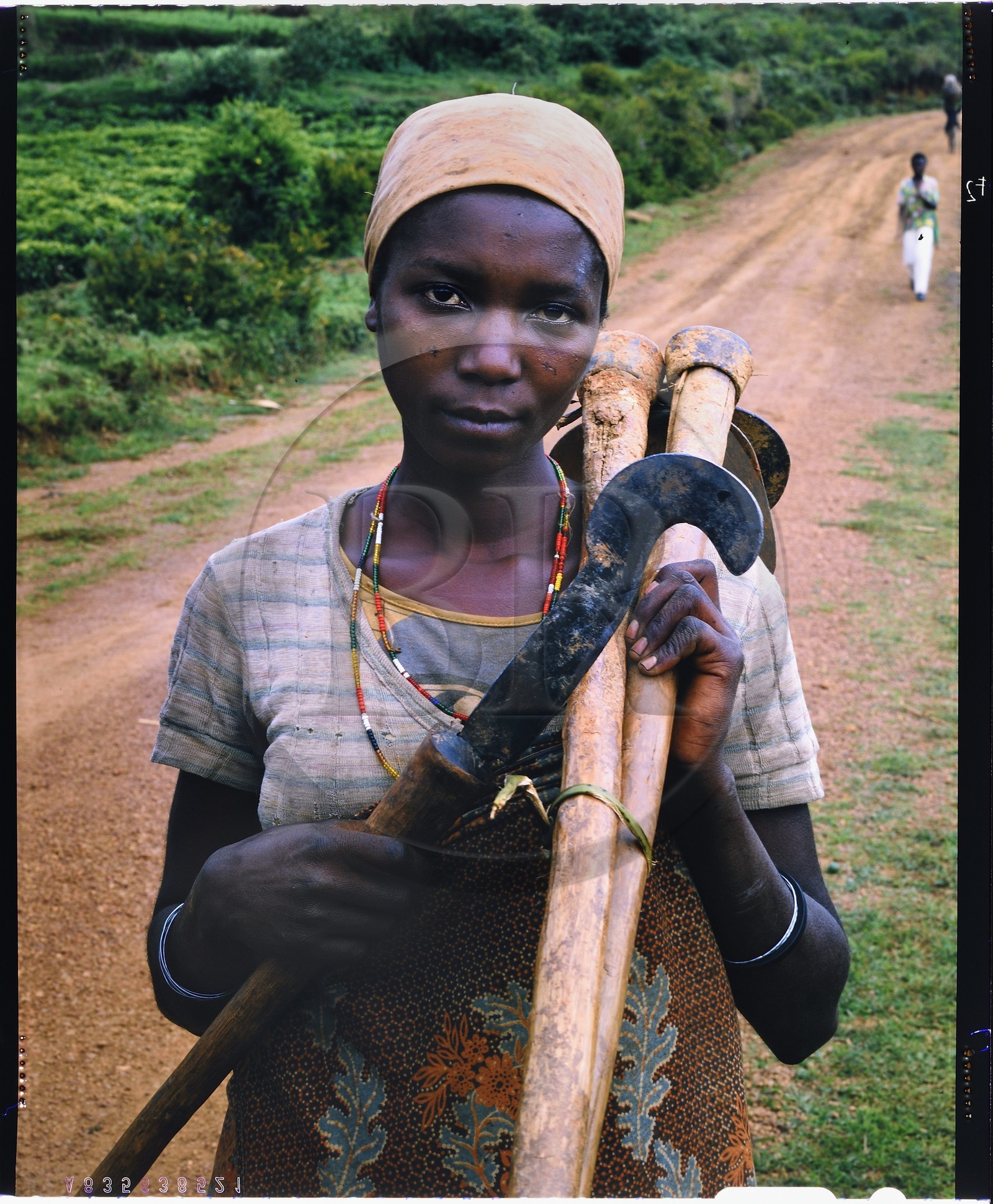 Burundi, province de Bujumbura, région d'Ijenda, femme Hutu revenant des champs, les scarifications qu'elle porte sur le visage montre qu'elle est Hutu, les Tutsi n'en ayant jamais au visage, les Hutu sont d'origine Bantou et traditionnellement des cultivateurs, la plupart d'entre eux étaient encore récemment des métayers comme la terre ne leur appartenait pas (reproduction plan-film inversible 4x5)