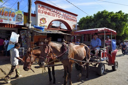 Nicaragua, Masaya, voiture à cheval taxi devant le marché Mercado Municipal Ernesto Fernandez
