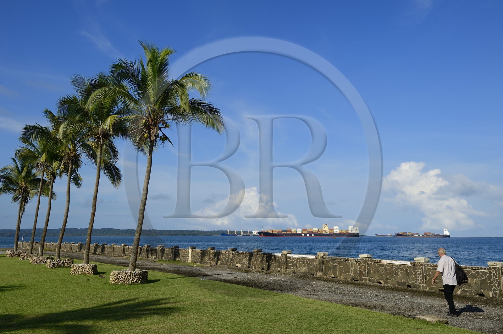 Panama,  province de Colon, ville de Colon, cargos attendant de pouvoir accéder au Canal de Panama vus depuis le front de mer de l'hotel Washington