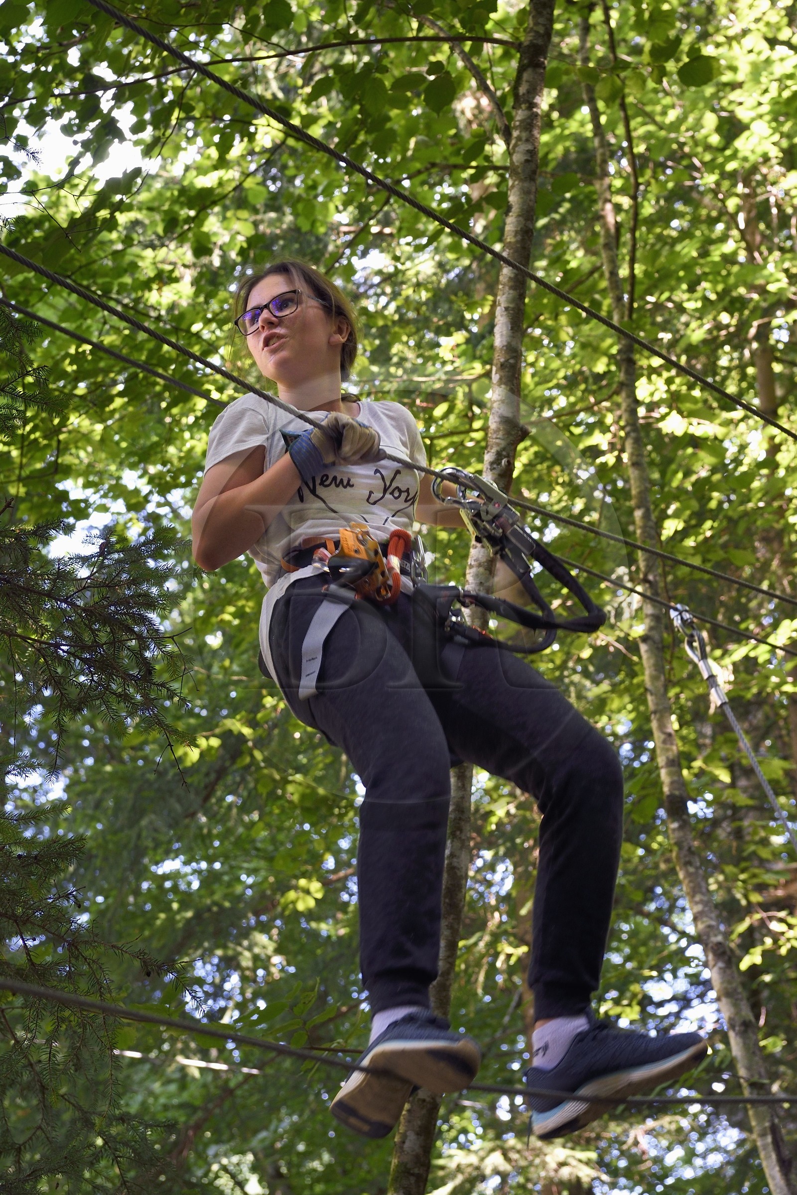 Switzerland, Canton of Vaud, Aigle, Forest Aerial Adventure Park (tree climbing)