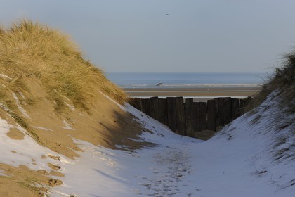 France, Manche (50), Cotentin, Sainte-Marie-du-Mont, Utah Beach où prit place le principal débarquement americain le 6 juin 1944, dunes et plage