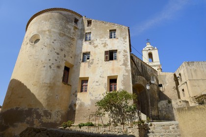 France, Haute-Corse (2B), Calvi, la citadelle, maison et clocher de la cathédrale