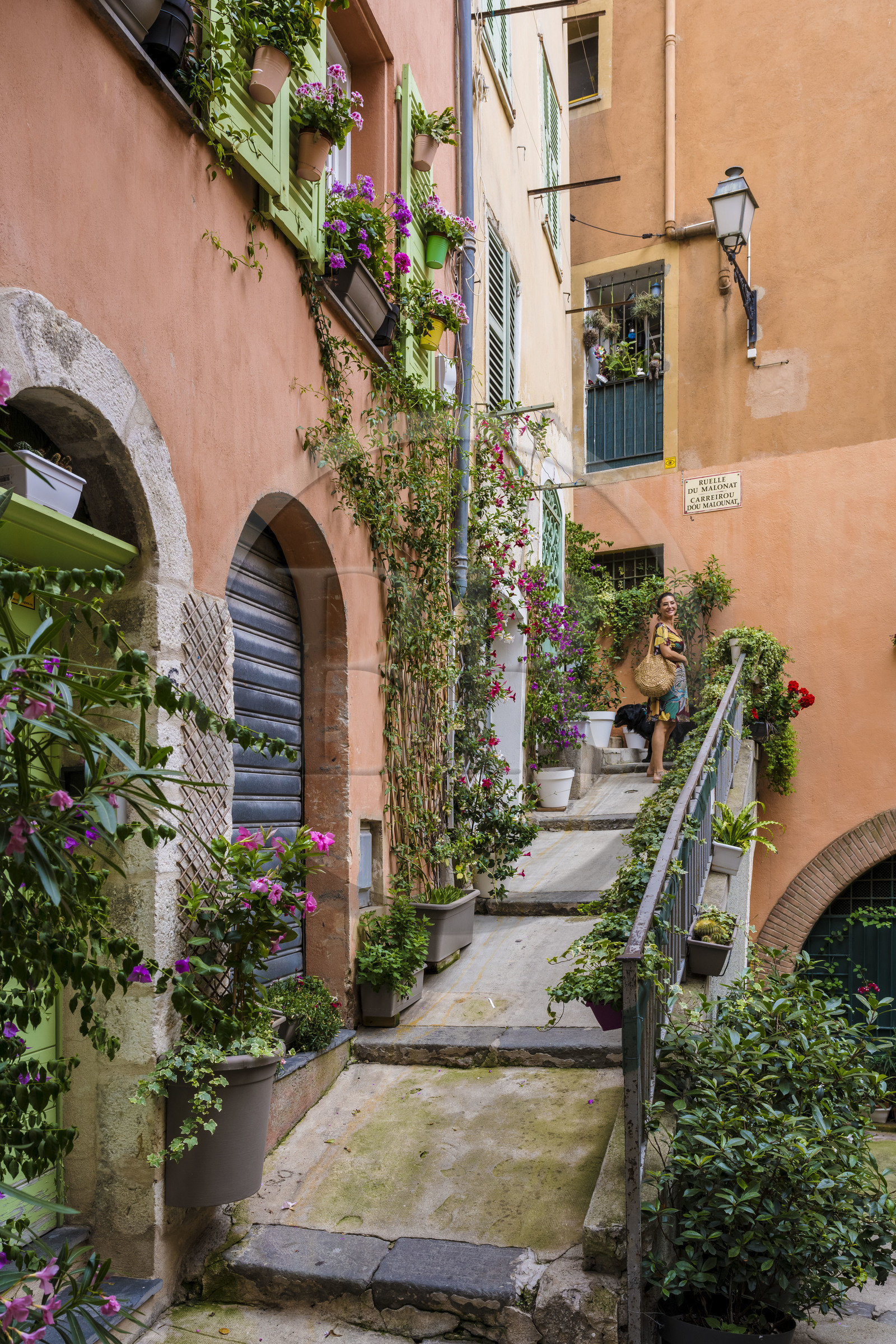France, Alpes-Maritimes (06), Nice classée Patrimoine Mondial de l'UNESCO, le Vieux Nice, Virginie Acchiardo, chef du restaurant Chez Acchiardo, promène son chien dans la ruelle du Malonat