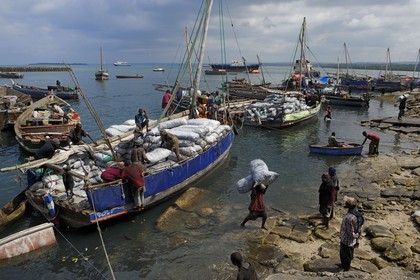 Tanzanie, archipel de Zanzibar, île de Unguja (Zanzibar), ville de Zanzibar, quartier Stone Town, classé Patrimoine Mondial de l' UNESCO, port des dhows (boutres traditionnels), déchargement du charbon