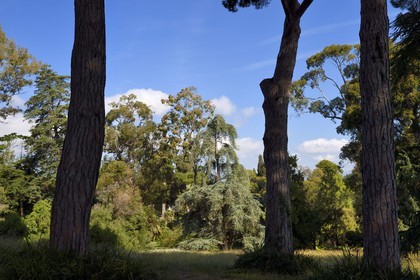 France, Alpes-Maritimes, Antibes, Botanical garden of the Villa Thuret