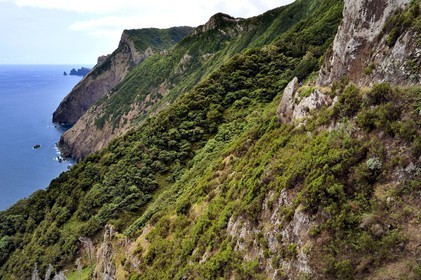 Portugal, Madeira Island, hike from Machico to Porto da Cruz by the Vereda do Larano, path carved into the side of the wall of the cliff of Larano