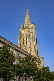 France, Charente Maritime, Saintonge, the Saint-Pierre-de-Sales church in the town center of Marennes