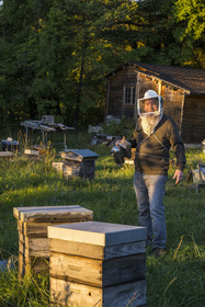 France, Herault, the Causses and the Cevennes, Mediterranean agro pastoral cultural landscape, listed as World Heritage by UNESCO, La Vacquerie et Saint Martin de Castries, guest house Les Faïsses, Jean-Louis Perez is also a beekeeper
