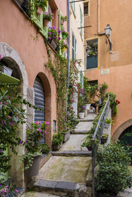 France, Alpes-Maritimes (06), Nice classée Patrimoine Mondial de l'UNESCO, le Vieux Nice, Virginie Acchiardo, chef du restaurant Chez Acchiardo, promène son chien dans la ruelle du Malonat