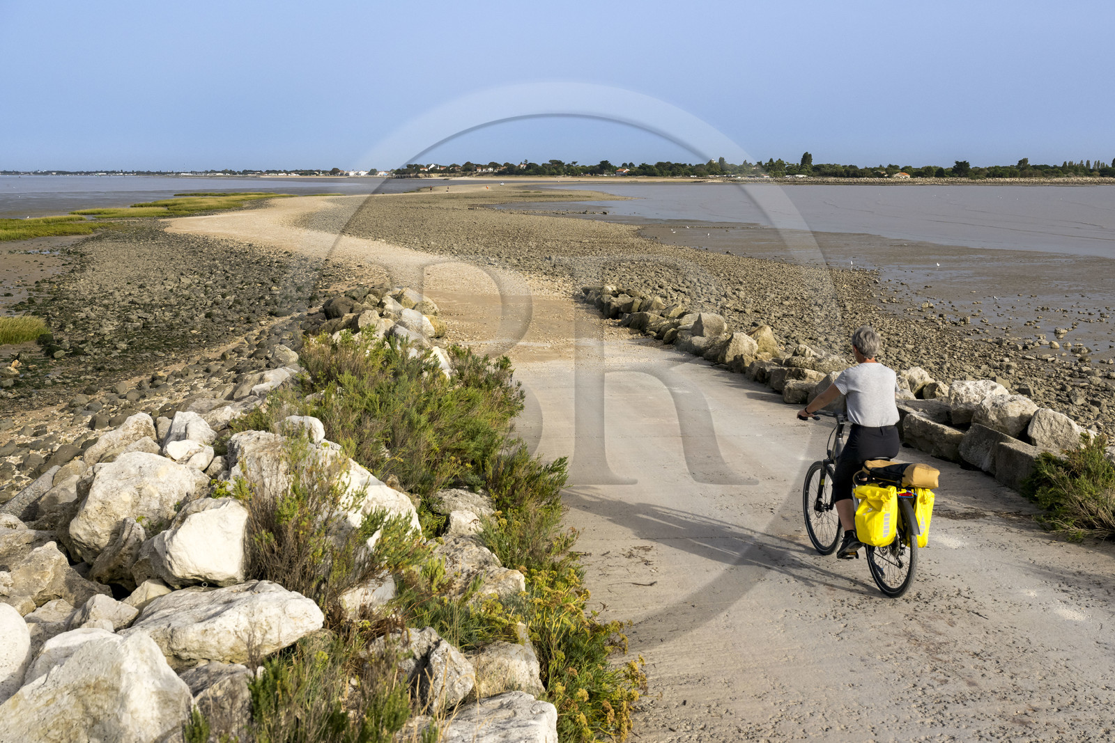 France, Charente Maritime, Port-des-Barques, cyclist on a hike,  the tombolo of Passe aux Boeufs which connects Ile Madame to the continent (aerial view)