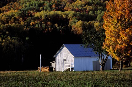 Canada, province de Québec, Gaspésie, Baie des Chaleurs, ferme dans région de Carletton