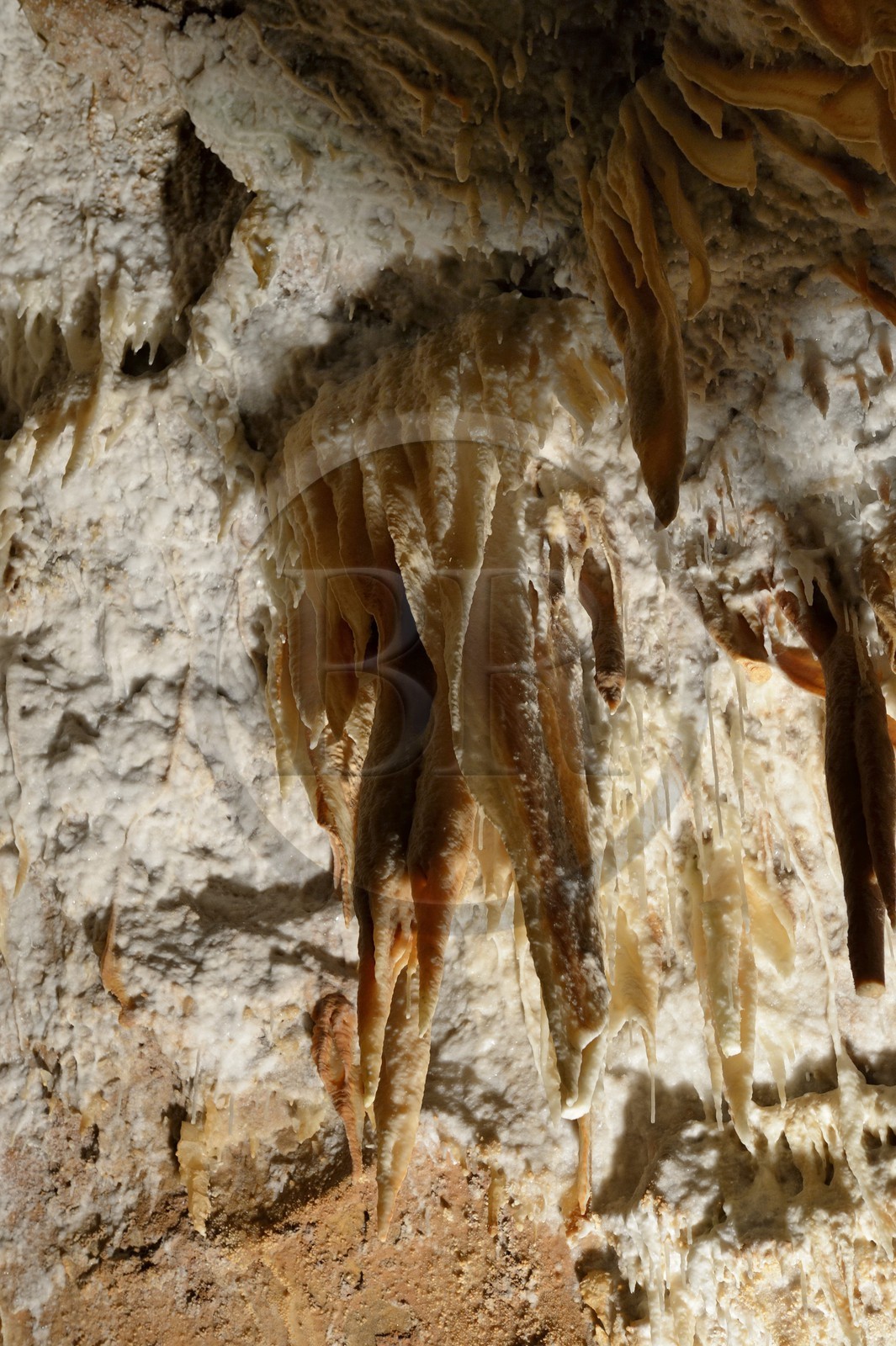 France, Ardèche (07), Saint-Marcel-d'Ardèche, la Grotte de la Madeleine