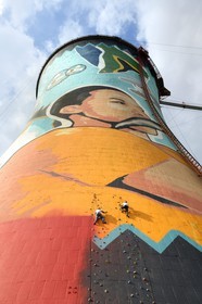 Afrique du Sud, province de Gauteng, Johannesburg, Orlando Towers qui dominent le quartier d'Orlando du township de Soweto, mur d'escalade du du Vertical Adventure Centre sur une des deux tours de refroidissement de la centrale d'Orlando