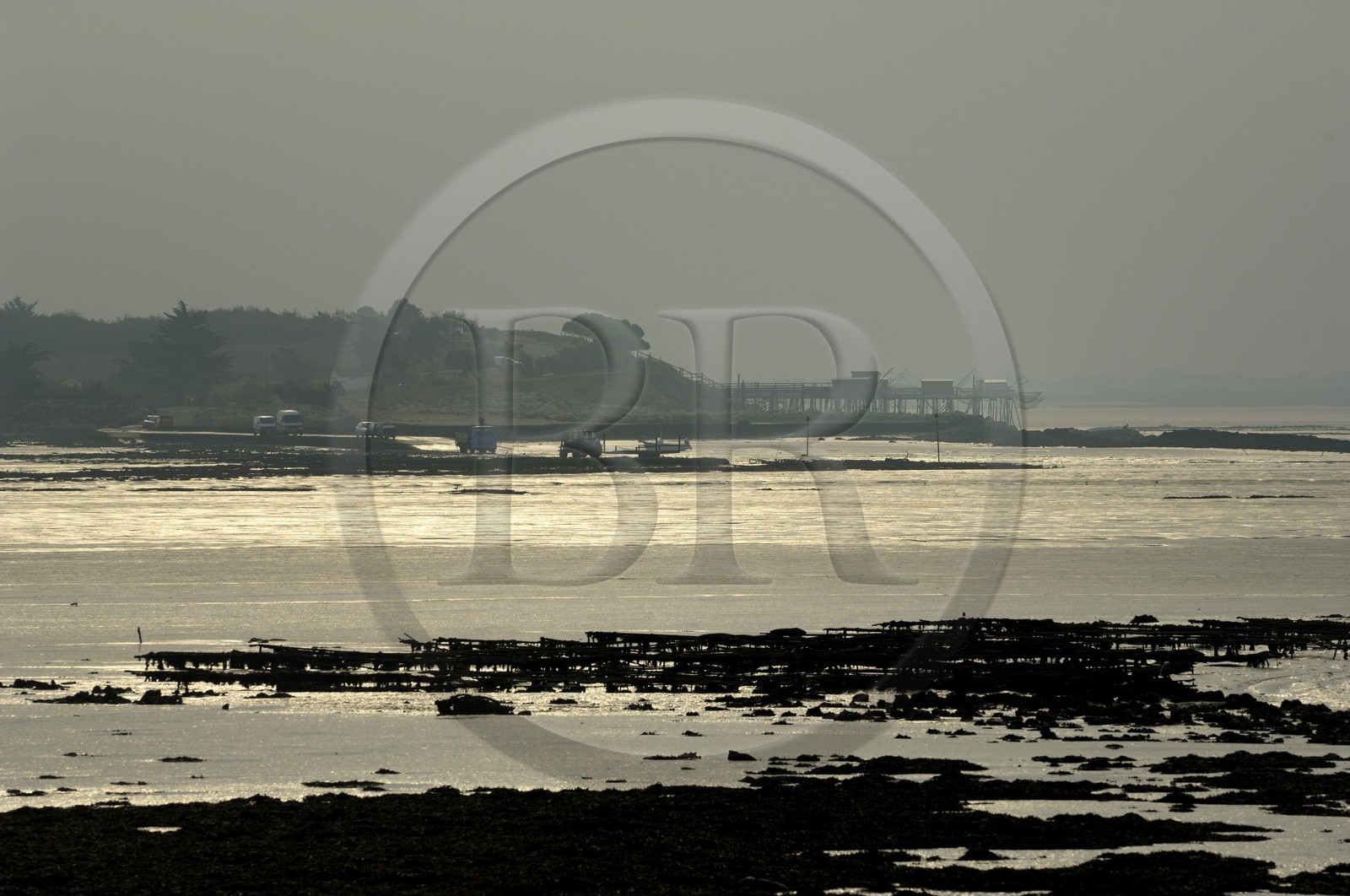 France, Charente-Maritime (17), Ile Madame