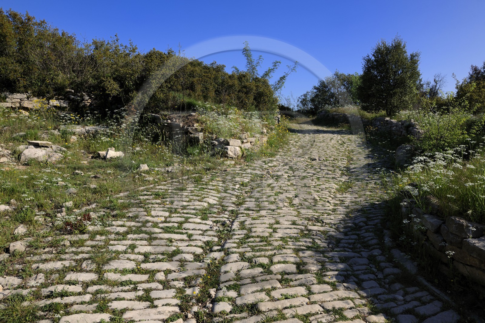 France, Hérault (34), près de Lunel, Oppidum d'Ambrussum ancien oppidum gaulois situé sur la Voie Domitienne (Via Domitia), rue pavée usées par le passage des chariots