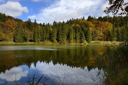 France, Meuse (55), Parc régional de Lorraine, Cotes de Meuse, Dommartin-la-Montagne, les Etangs de Longeau