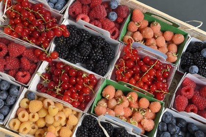 France, Alpes-Maritimes (06), Antibes, paniers de fruits rouges