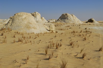 Egypt, Libyan Desert, the White Desert North of Farafra