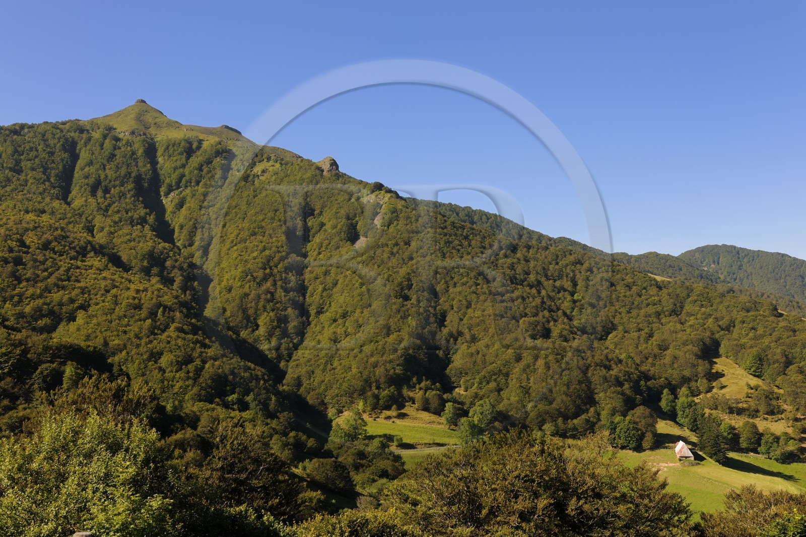 France, Cantal (15), monts du Cantal, Parc Naturel Régional des Volcans d' Auvergne, la vallée de la Jordanne vers Mandaille-Saint-Julien