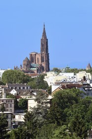 France, Bas-Rhin (67), Strasbourg, vieille ville classée au Patrimoine Mondial de l'UNESCO, la cathédrale Notre-Dame et le quartier du Contade au premier plan