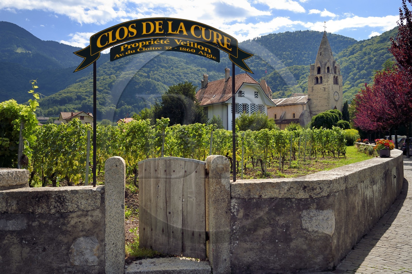 Suisse, Canton de Vaud, Aigle, domaine viticole du Clos de la Cure au coeur de la ville