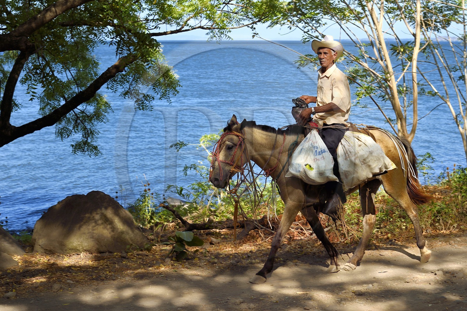 Nicaragua, Ometepe Island in Lake Nicaragua, rider along the lake