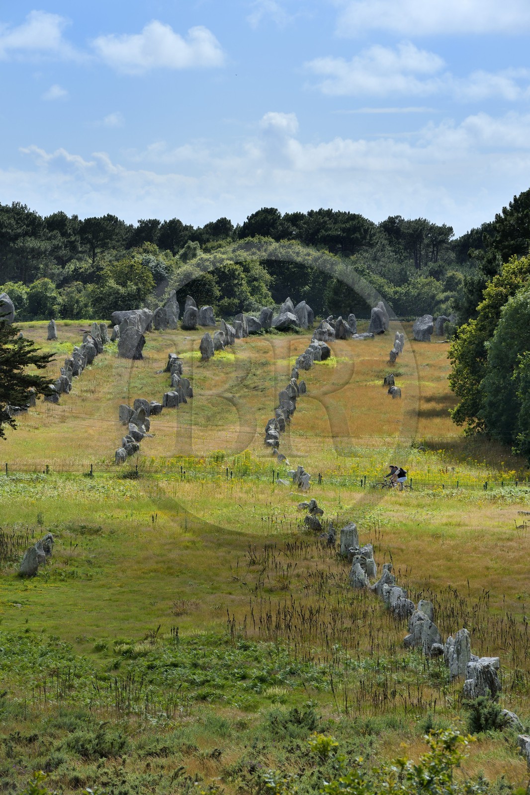 France, Morbihan, Carnac, row of megalithic standing stones at Kermario