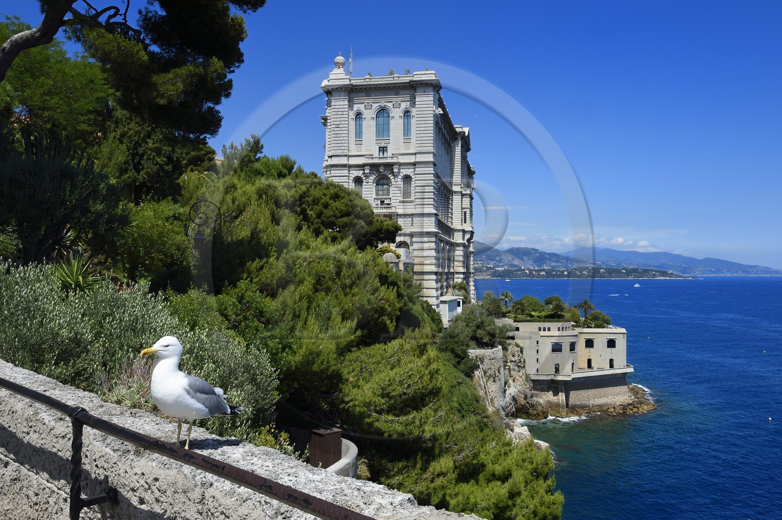 Principauté de Monaco, Monaco, le musée océanographique sur le Rocher depuis le Jardin Saint Martin