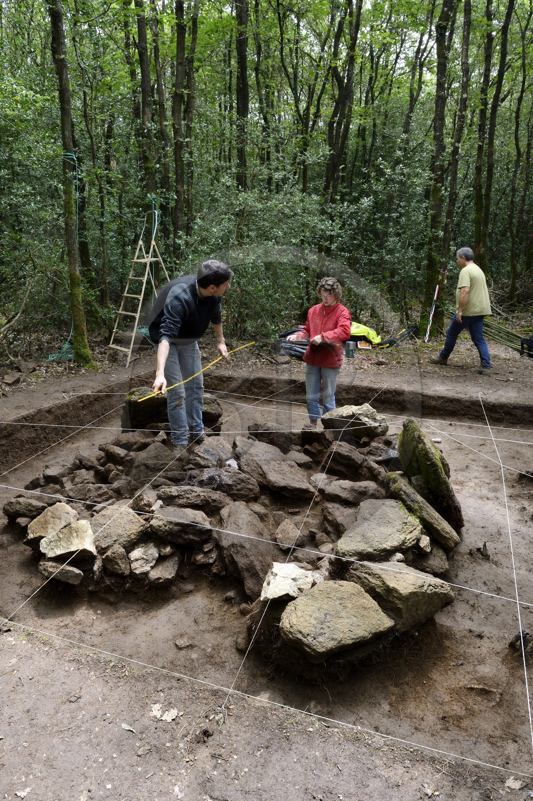 France, Morbihan (56), Trédion, forêt de Coëby ver, fouilles du site mégalithique découvert par l'archéologue Philippe Gouezin