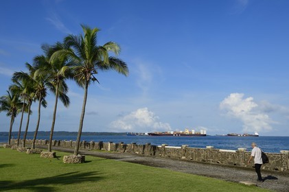 Panama,  province de Colon, ville de Colon, cargos attendant de pouvoir accéder au Canal de Panama vus depuis le front de mer de l'hotel Washington