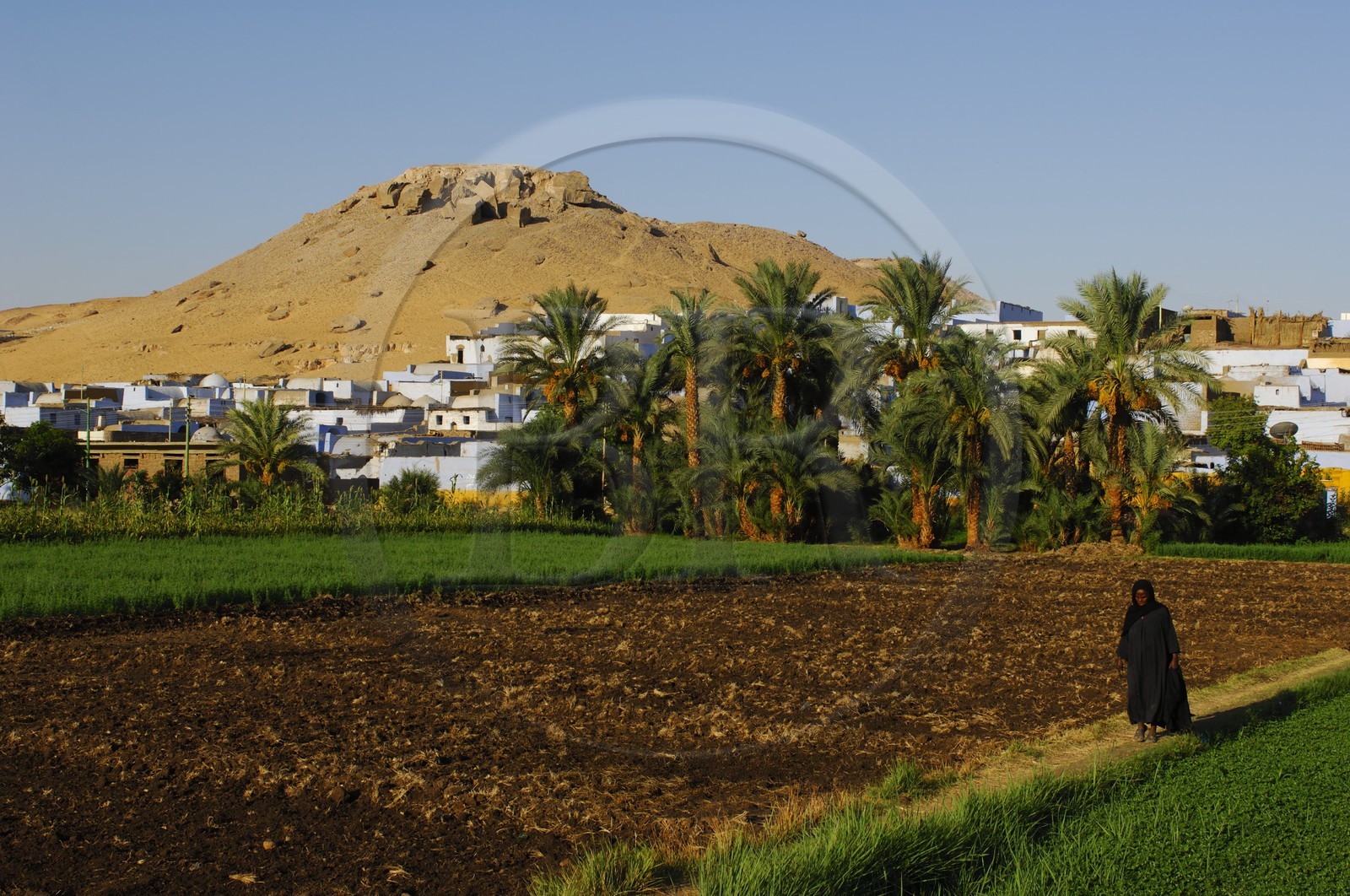 Egypte, Haute Egypte, Nubie, vallée du Nil, Assouan, la rive ouest, village nubien à l'orée du désert