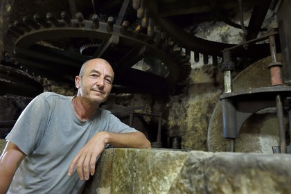 France, Var (83), Flayosc, le Moulin du Flayosquet, le producteur d'huile d'olive Max Doleatto